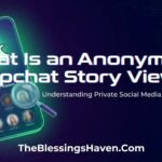what-is-an-anonymous-snapchat-story-viewer