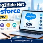 nothing2hide-net-salesforce